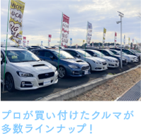 プロが買い付けたクルマが常時200台、勢ぞろい！